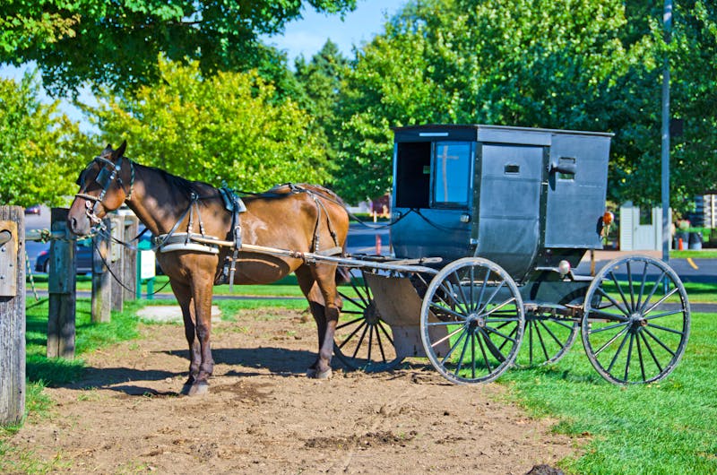Pferdekutsche bei den Amish People in Pennsylvania - ©Shelley - stock.adobe.com