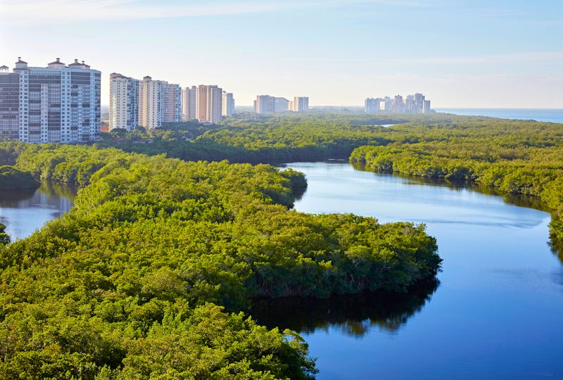 Fort Myers in Florida  - ©Jill Greer - stock.adobe.com
