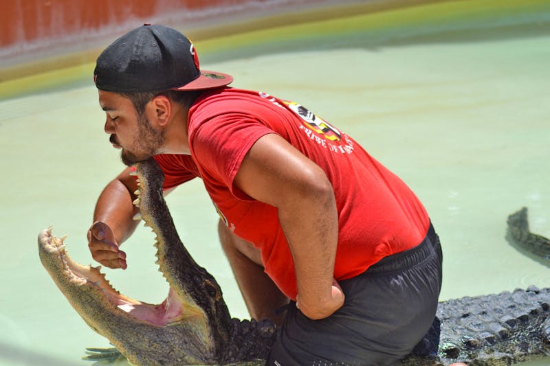 Alligator-Show im Miccosukee Indian Village in Florida - ©Laura Wonneberger - Eberhardt TRAVEL