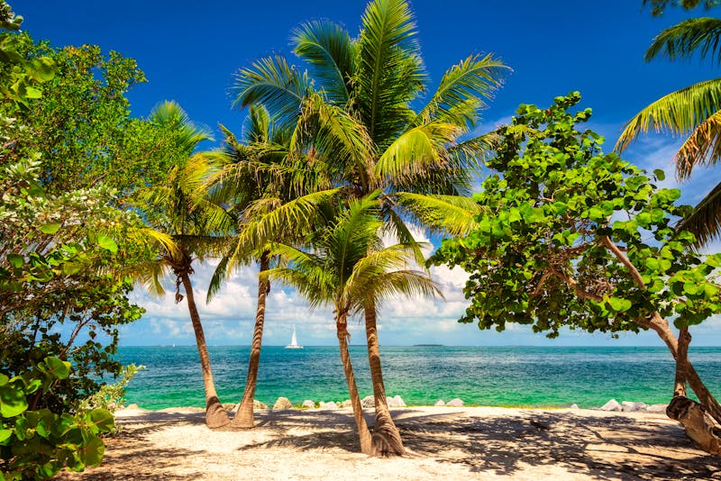 Strand in Key West - ©lucky-photo - stock.adobe.com