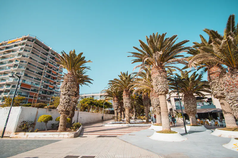 Los Cristianos auf Teneriffa - &copy;jorge - stock.adobe.com