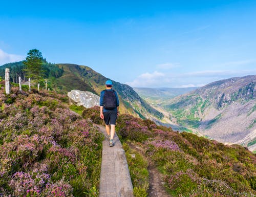 Wandern im Glendaloughtal in Irland – © Gabriel - stock.adobe.com