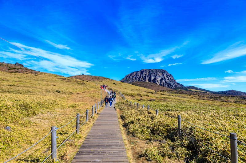Wanderweg am Vulkan Hallasan auf der Insel Jeju - Südkorea - ©yijo - stock.adobe.com