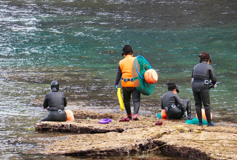 Haenyo Taucherinnen auf der Insel Jeju - ©Caroline - stock.adobe.com