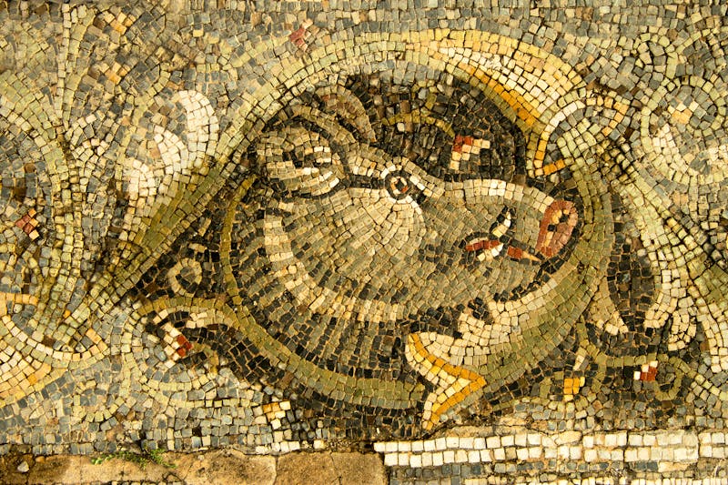 Mosaik in der antiken Stadt Bulla Regia in Tunesien - ©scullery - stock.adobe.com