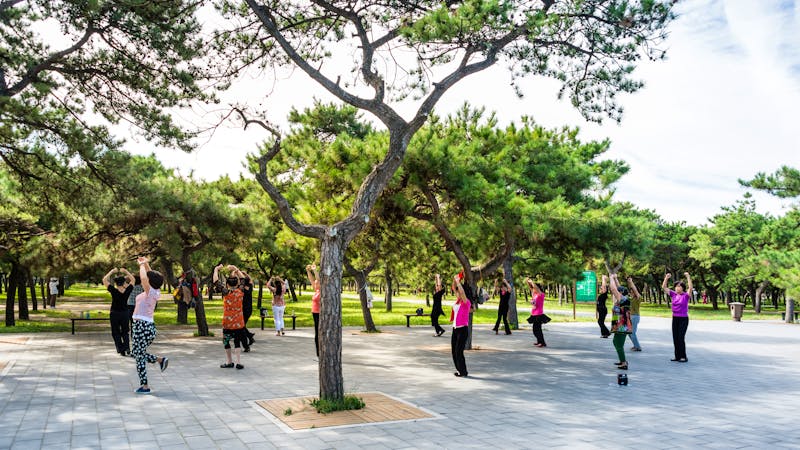 Volkssport Thai Chi in Peking - ©matho - stock.adobe.com