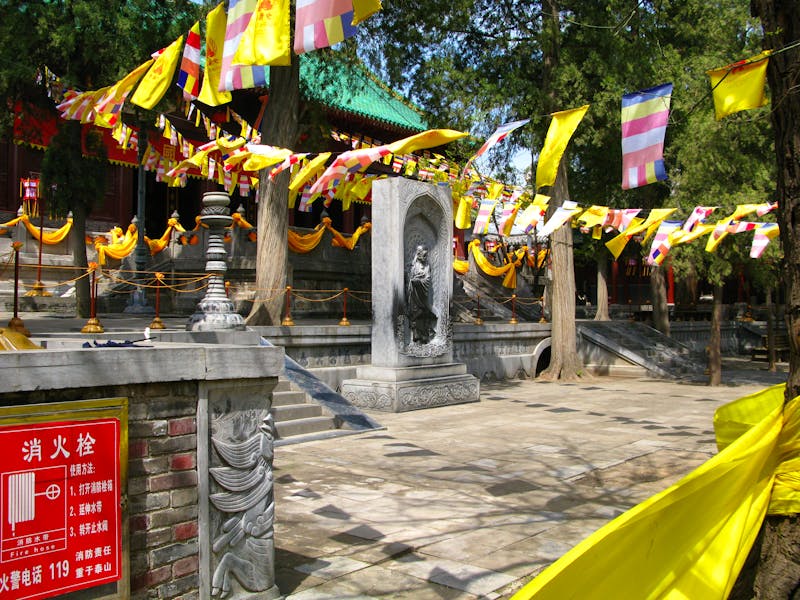 Shaolin-Tempel in Luoyang - ©Sergey - stock.adobe.com