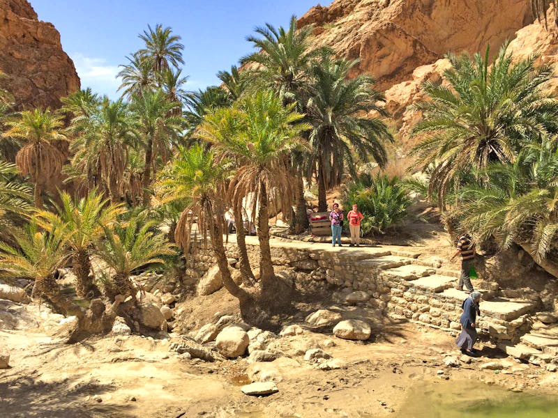 Bergoase Chebika in Tunesien - ©Patrick Fritzsche - Eberhardt TRAVEL