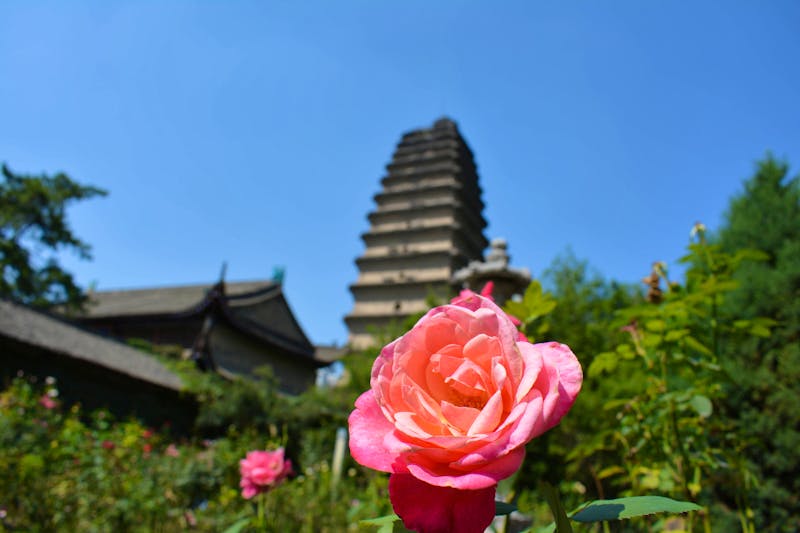 Xi'an - kleine Wildganspagode - ©Franziska Barthel (Eberhardt TRAVEL)