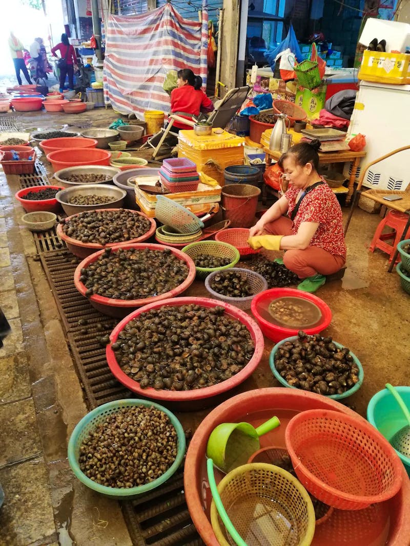 Yangshuo - Markthalle  - ©Julia Doppke (Eberhardt TRAVEL)