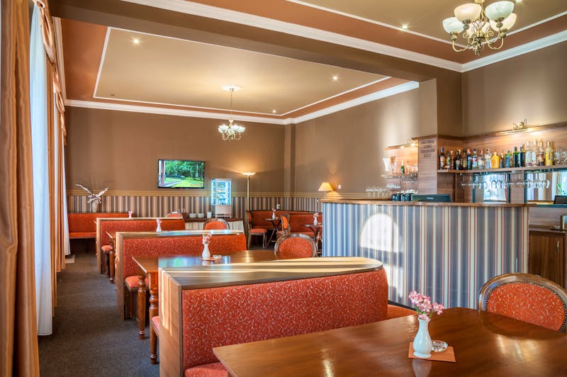 Kurhotel Dr. Adler in Franzensbad - Bar &ndash; &copy;PETERMATTPHOTO - Kulturhotel Dr. Adler