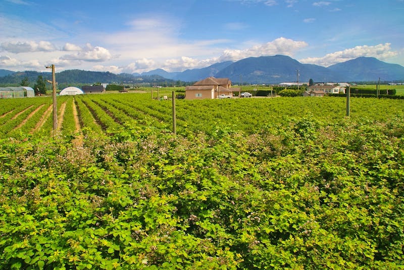 Unterwegs mit dem Zug The Canadian in Richtung Vancouver - ©Susanne Schirmann - Eberhardt TRAVEL