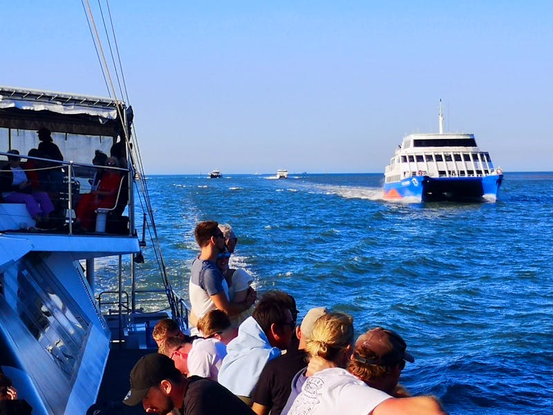  Rückfahrt vom Great Barrier Reef nach Cairns - ©Jürgen Müller - Eberhardt TRAVEL