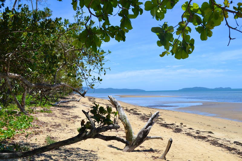 Küste bei Cairns - &copy;Laura Wonneberger - Eberhardt TRAVEL
