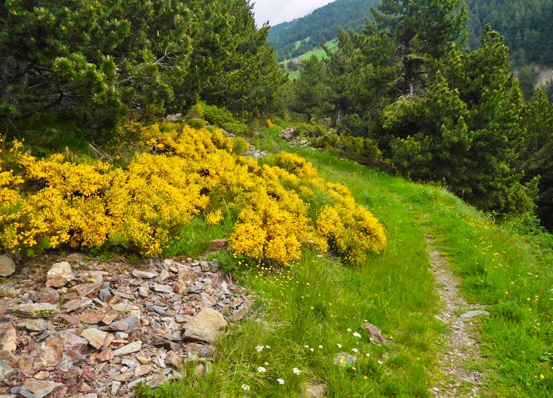 Wanderweg im Vall del Riu - Andorra - ©Stefan Börner - Eberhardt TRAVEL
