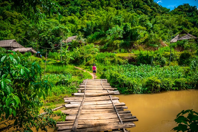 Wandern im Pu Luong Naturreservat in Nord-Vietnam - ©Jeroen - stock.adobe.com