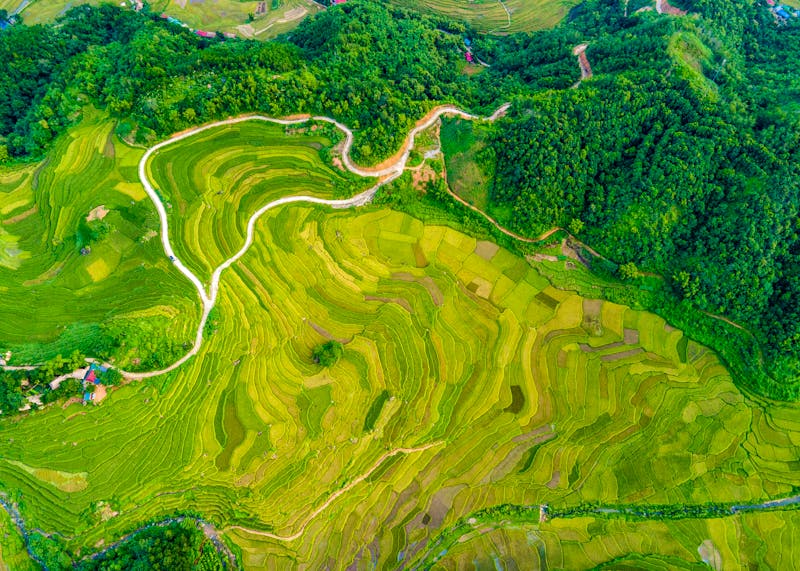 Pu Luong Naturreservat - Reisterrassen - ©hcongthanh - Adobe Stock
