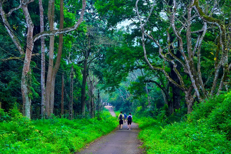 Wandern im Cuc Phuong Nationalpark bei Ninh Binh - ©bvh2228 - stock.adobe.com
