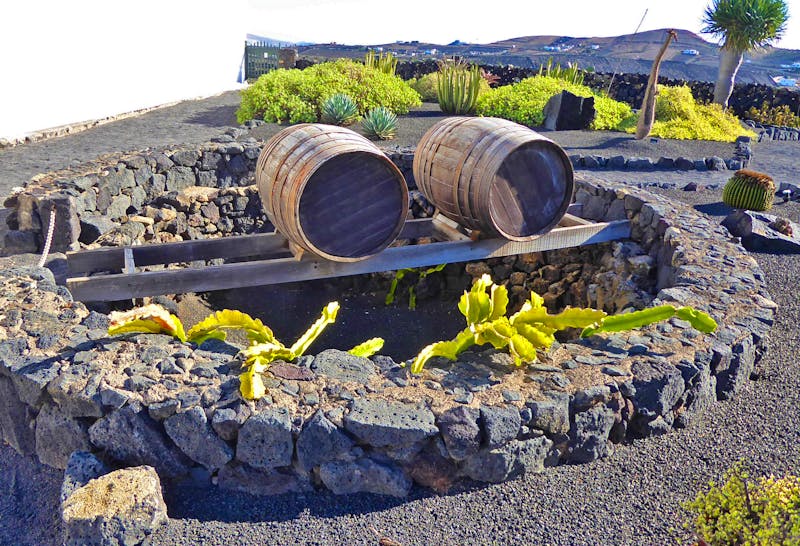 Bodega El Grifo auf Lanzarote - ©Georg Berger - Eberhardt TRAVEL