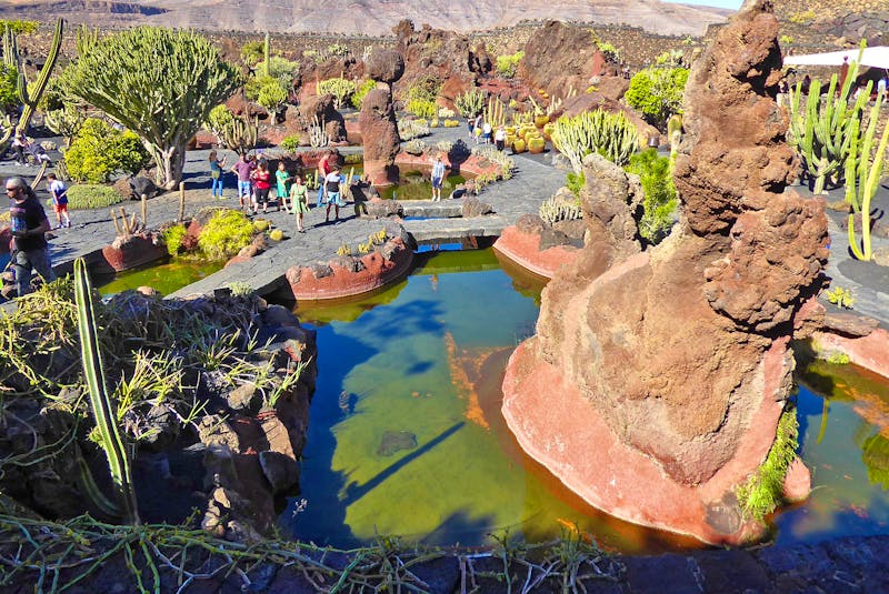 Kakteen-Graten auf Lanzarote - ©Georg Berger - Eberhardt TRAVEL