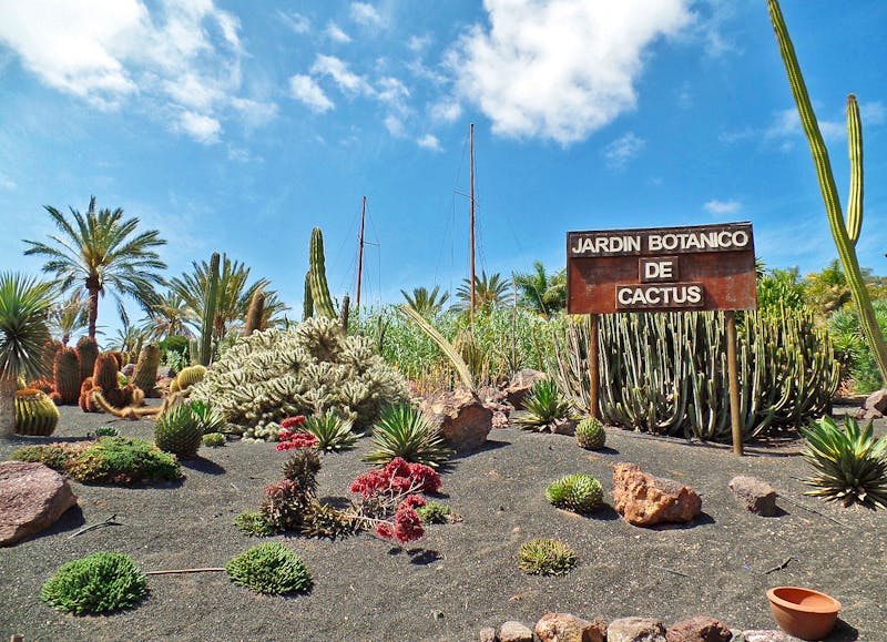 Kakteen-Garten auf Lanzarote - &copy;Benjamin Rodriguez Manzanares - Eberhardt TRAVEL