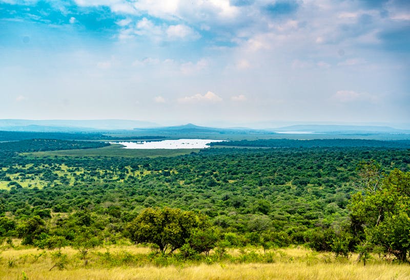 See Mburo - Lake Mburo Nationalpark - ©Dominik - stock.adobe.com