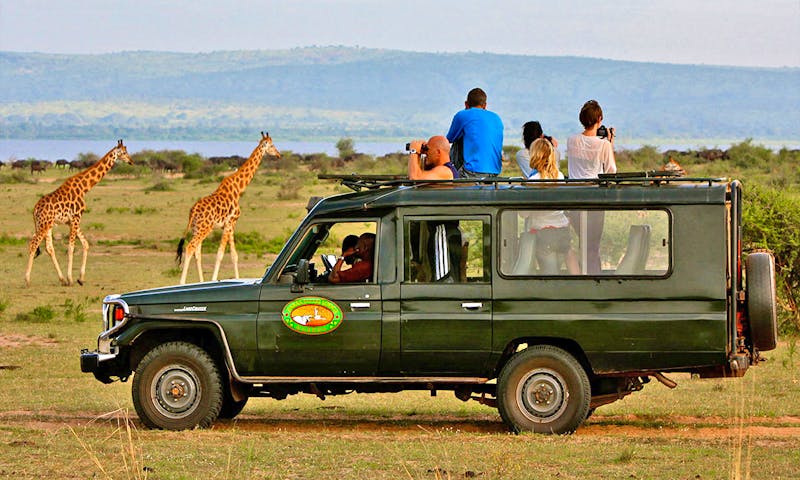 Jeep-Safari von der Paraa Safari Lodge im Murchison Falls Nationalpark - ©Paraa Safari Lodge