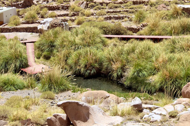 Puritama Hot Springs - heiße Quellen in der Atacama-Wüste - ©LMedeiros - stock.adobe.com