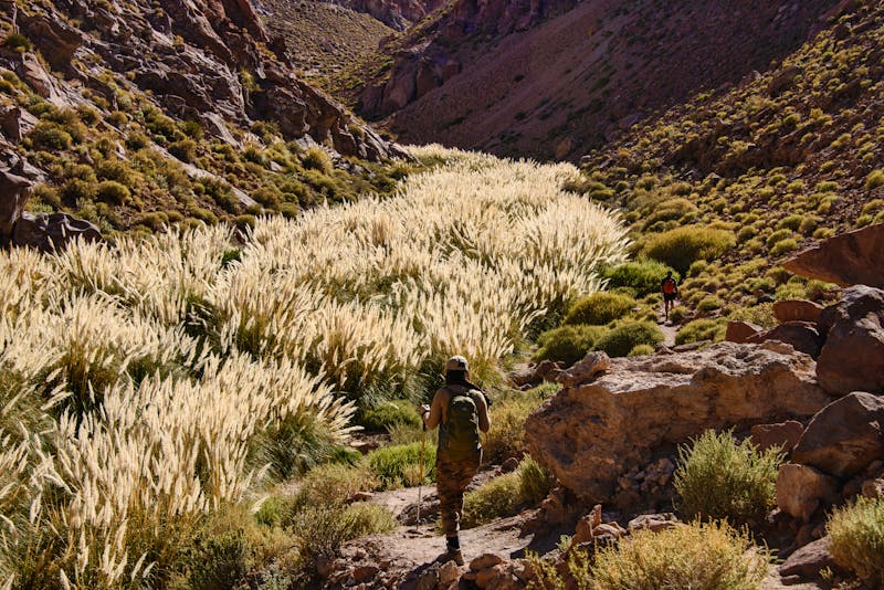 Wandern in der Atacama-Wüste - Puritama Oase - ©raquelm. - stock.adobe.com