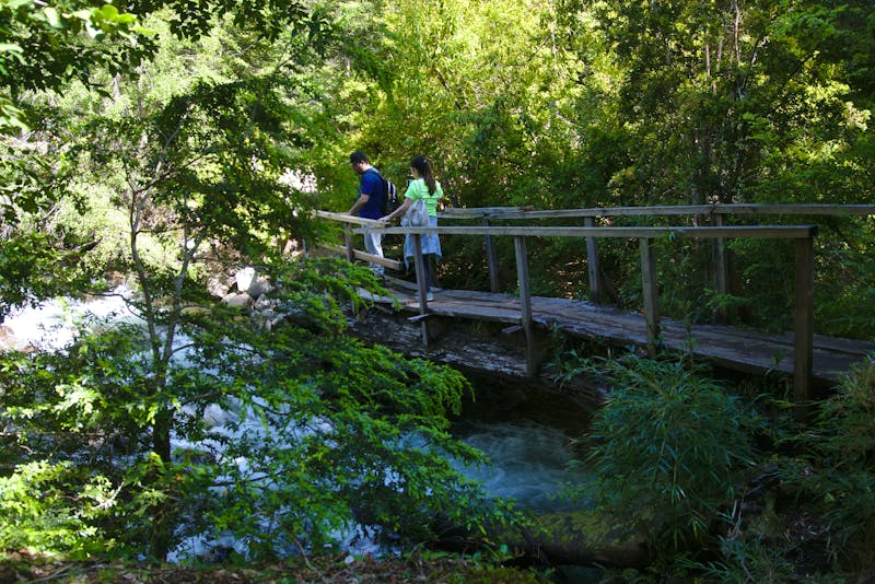 Wandern im Nationalpark Huerquehue in der Nähe von Pucón - ©Fabiano Silva - stock.adobe.com