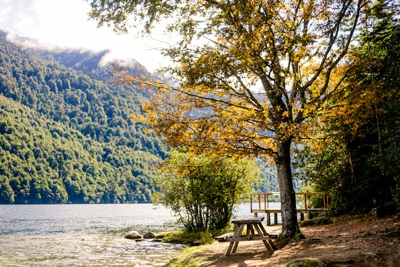 Nationalpark Huerquehue in der Nähe von Pucón - ©Emelyn - stock.adobe.com