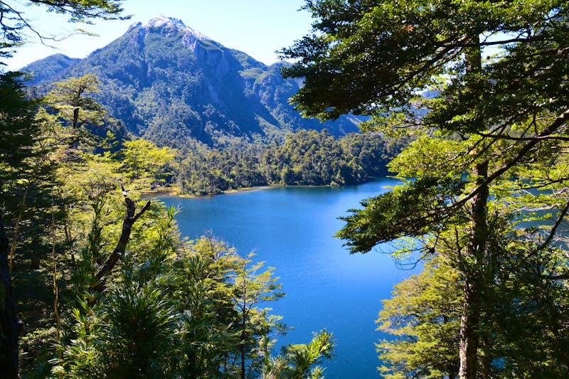 Parc National Huerquehue - Patagonie - Chili - ©Marc - stock.adobe.com