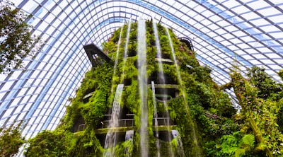 Singapur - Cloud Forest Dome in den Gardens by the Bay - ©Nikolai Sorokin - stock.adobe.com