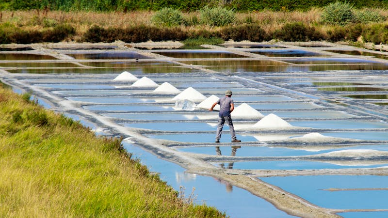 Salzgewinnung auf der Ile de Noirmoutier - ©François Guillot  - stock.adobe.com