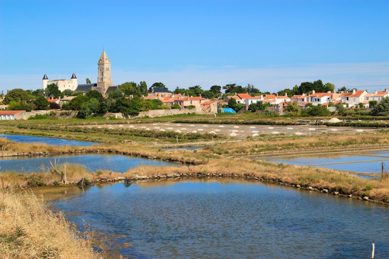 Auf der Insel Noirmoutier an Frankreichs Atlantikküste - ©capude1957 - stock.adobe.com