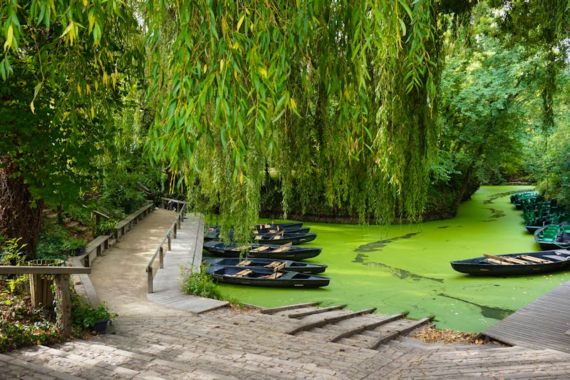 Bootsfahrt im Naturpark Marais Poitevin - ©Marie - stock.adobe.com
