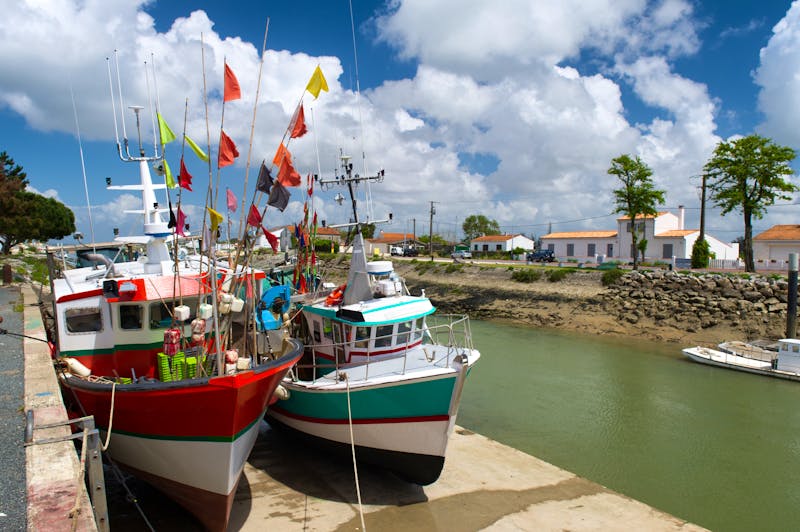 Bune Fischerboote in Boyardville - Insel Oleron  - ©Ivonne Wierink - stock.adobe.com