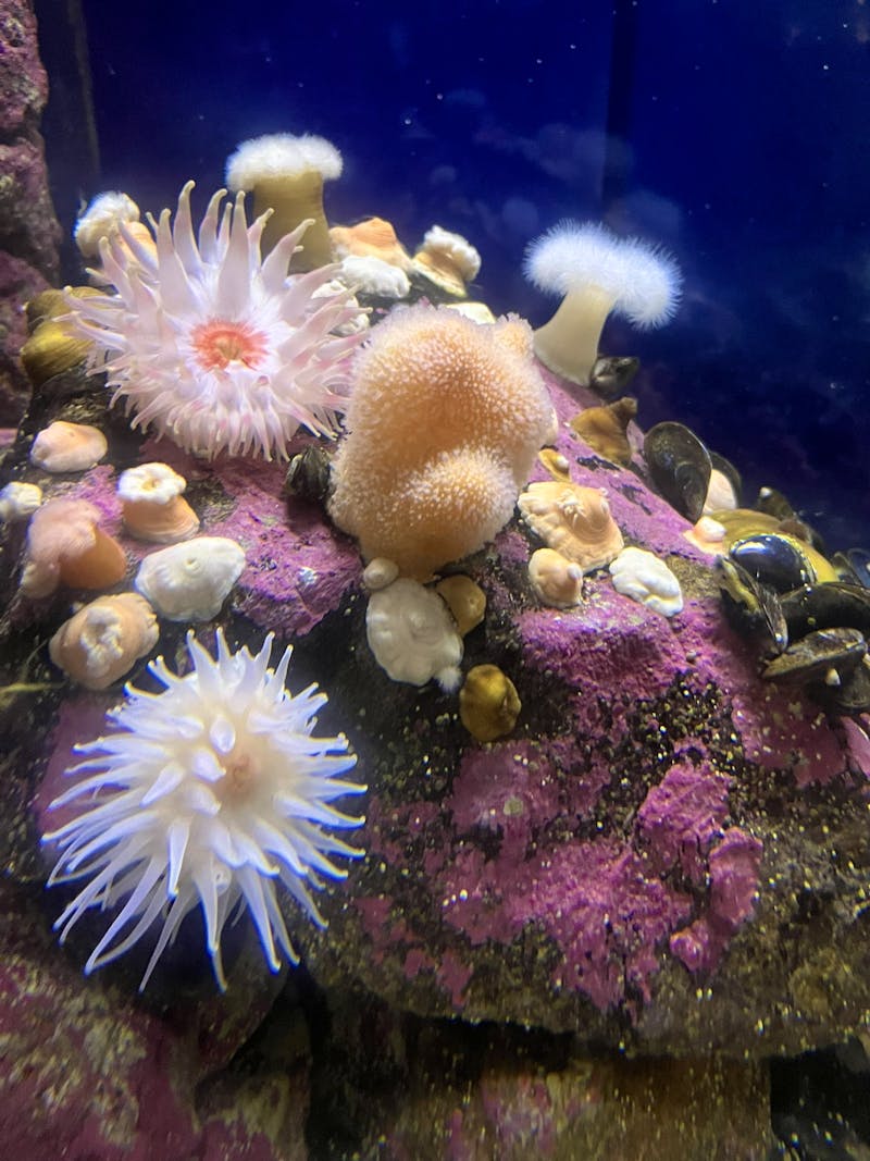Aquarium im Polaria Museum in Tromsø - ©Madlena Voigt - Eberhardt TRAVEL