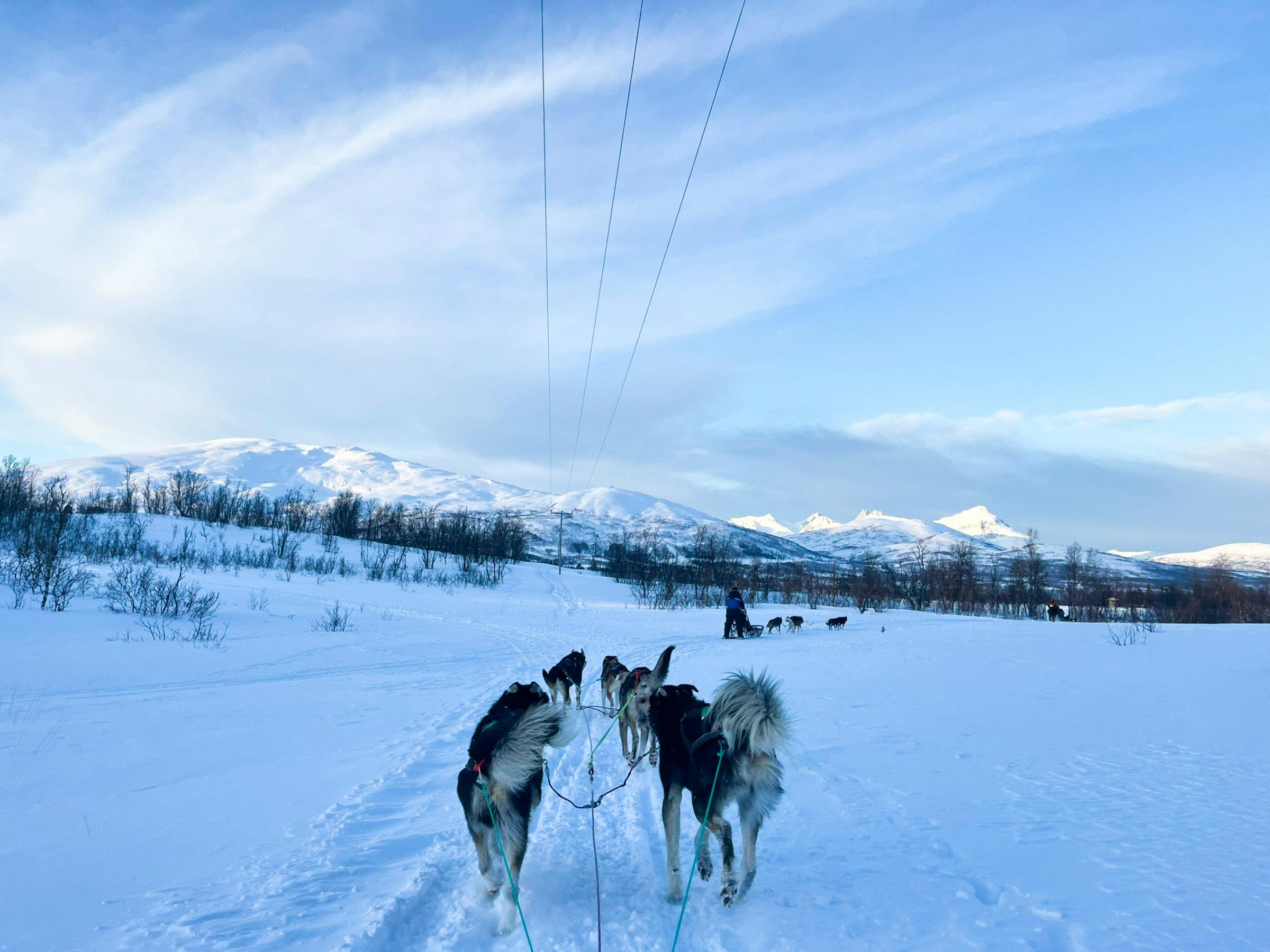 Husky-Hundeschlittenfahrt auf Kvaløya - &copy;Madlena Voigt - Eberhardt TRAVEL