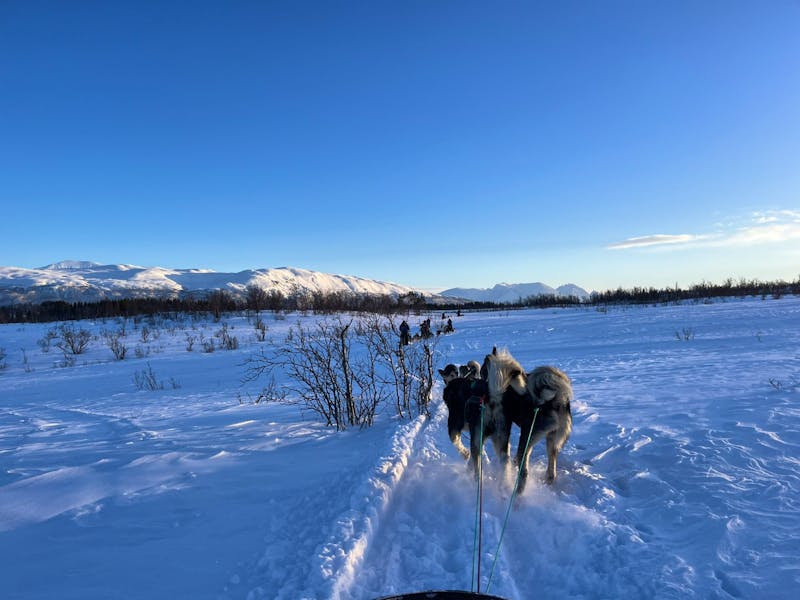 Husky-Hundeschlittenfahrt auf Kvaløya - ©Madlena Voigt - Eberhardt TRAVEL