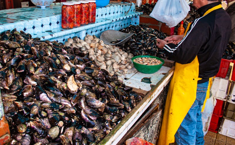 Meeresfrüchtestand in Puerto Mont - ©AdrianGomezFoto - stock.adobe.com