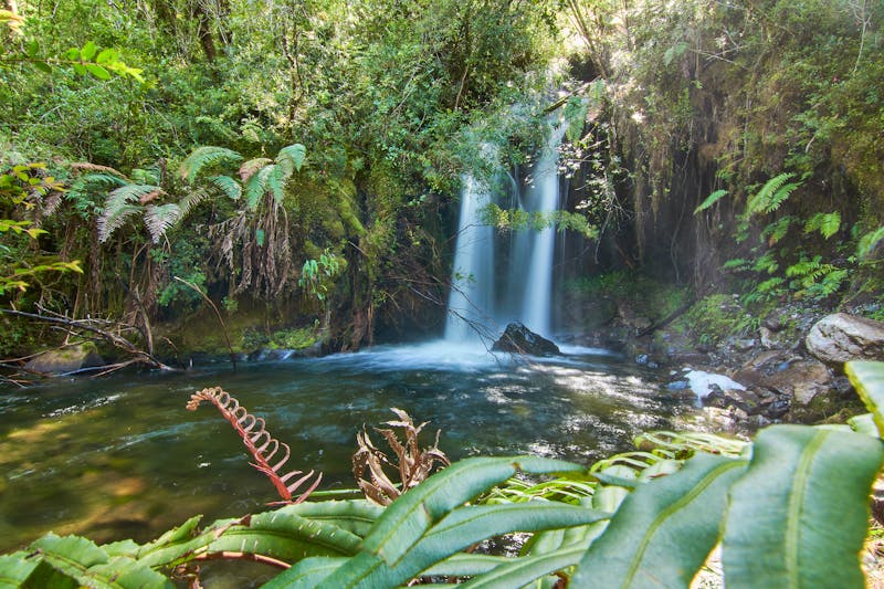 Chaica River Wasserfall,  Alerce Andino Nationalpark in Puerto Montt - ©Alex - stock.adobe.com