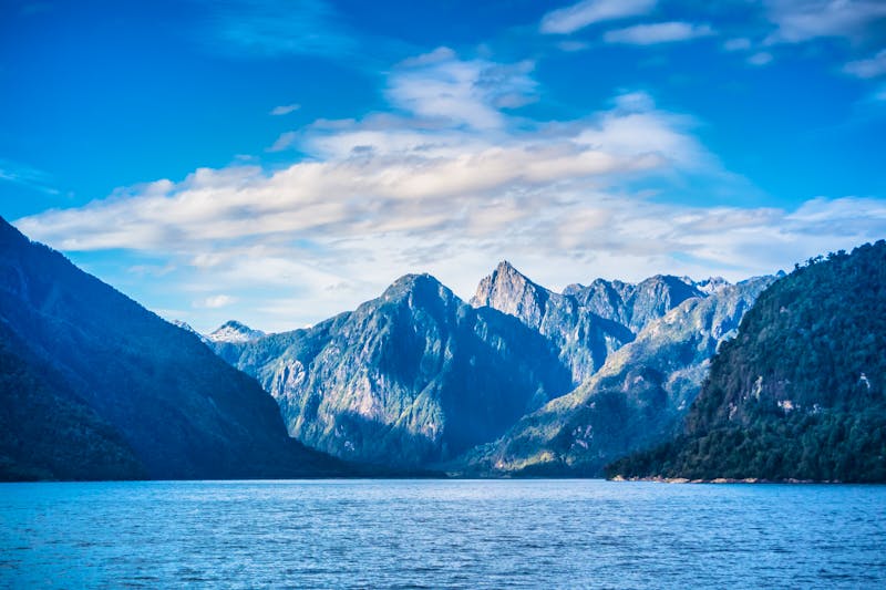 Caleta Gonzalo im Pumalin Nationalpark, Patagonien - ©raccoon - stock.adobe.com