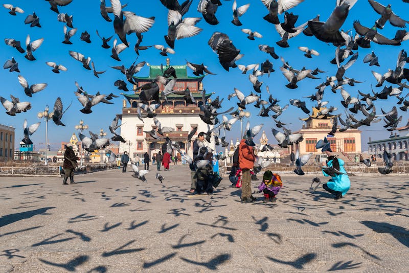 Ulan Bator -  Platz vor dem Gandan-Kloster - ©Frank Wagner - stock.adobe.com