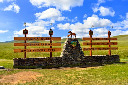 Przewalski-Pferde im Hustai-Nationalpark in der mongolischen Steppe &ndash; &copy; Bruno - stock.adobe.com