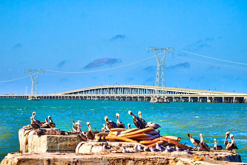 Seebrücke am Golf von Mexiko bei Isla Aguada und Campeche  - ©Alex Borderline - stock.adobe.com