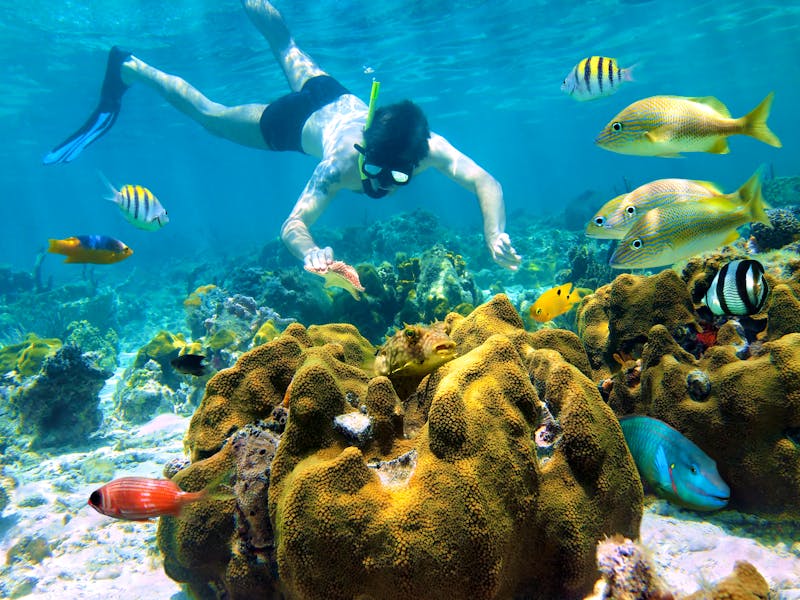 Schnorcheln bei Cancun - Mexiko - ©dam - stock.adobe.com