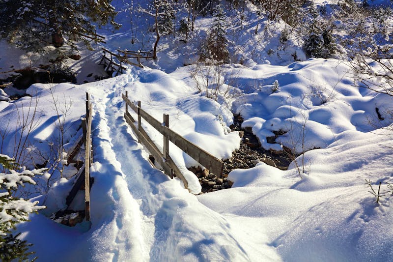 Bärguntbach im Kleinwalsertal - ©Ludwig - stock.adobe.com