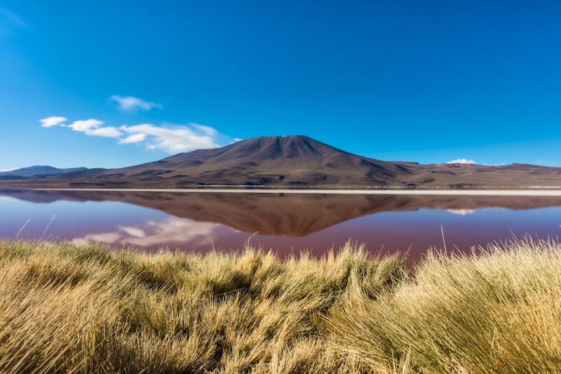 Salzwasserlagune Roja in Bolivien - ©photo-nature - stock.adobe.com
