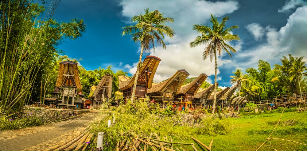 Tongkonan-Häuser und Palmen in Kete Kesu im Gebiet Tana Toraja in Süd-Sulawesi &ndash; &copy; michalknitl - stock.adobe.com